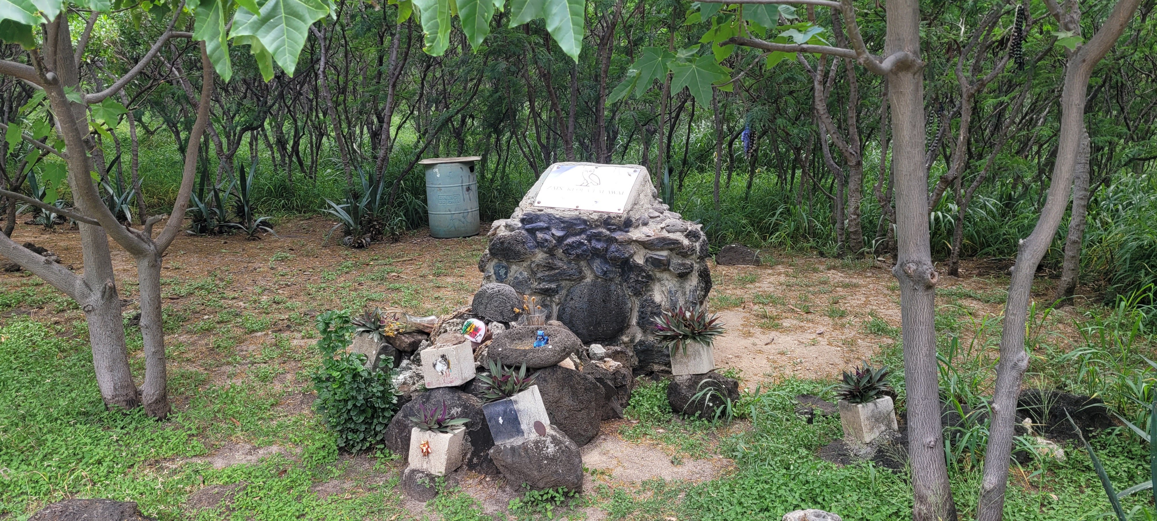 A shrine in a cleared area under a canopy.