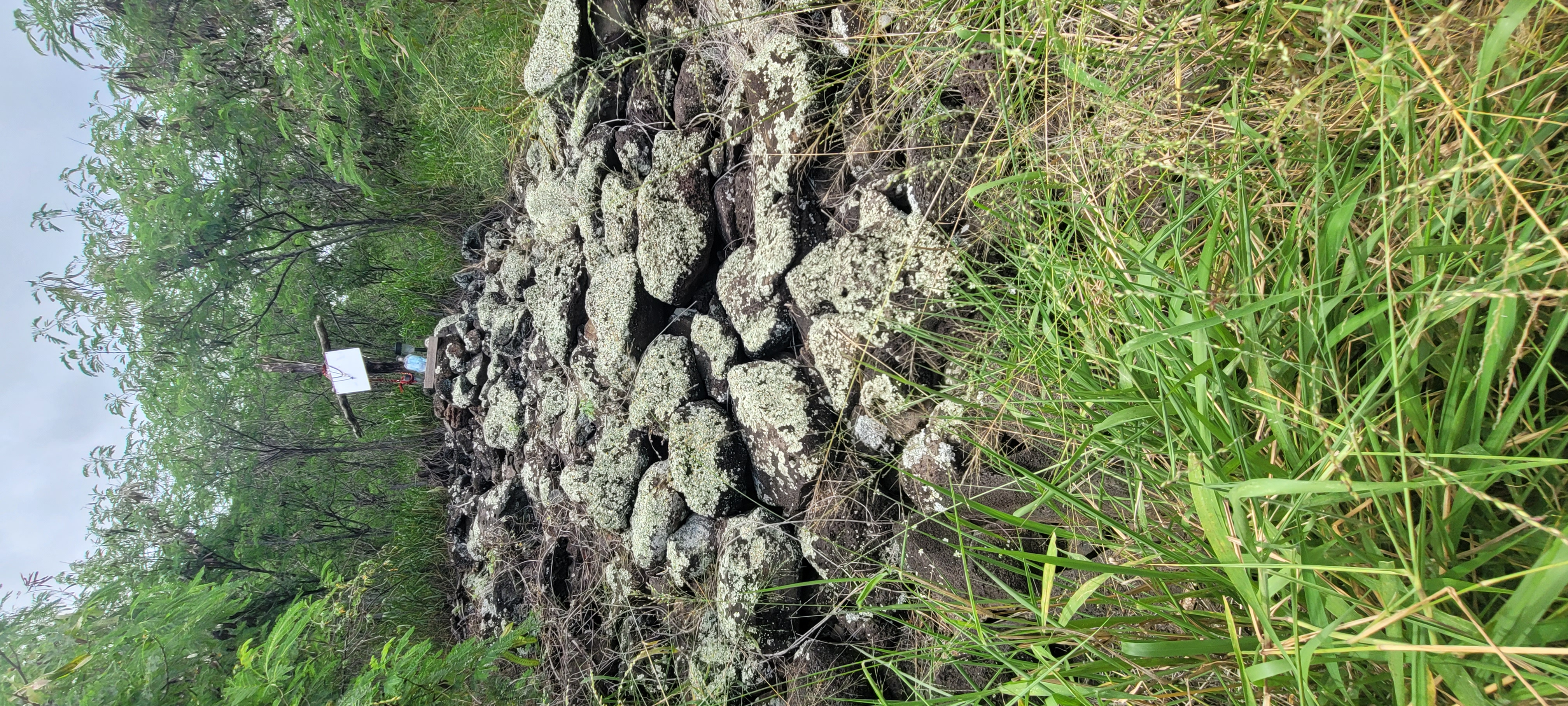 An old shrine, only identifiable by a cross and stacked rocks, covered deeply in lichen