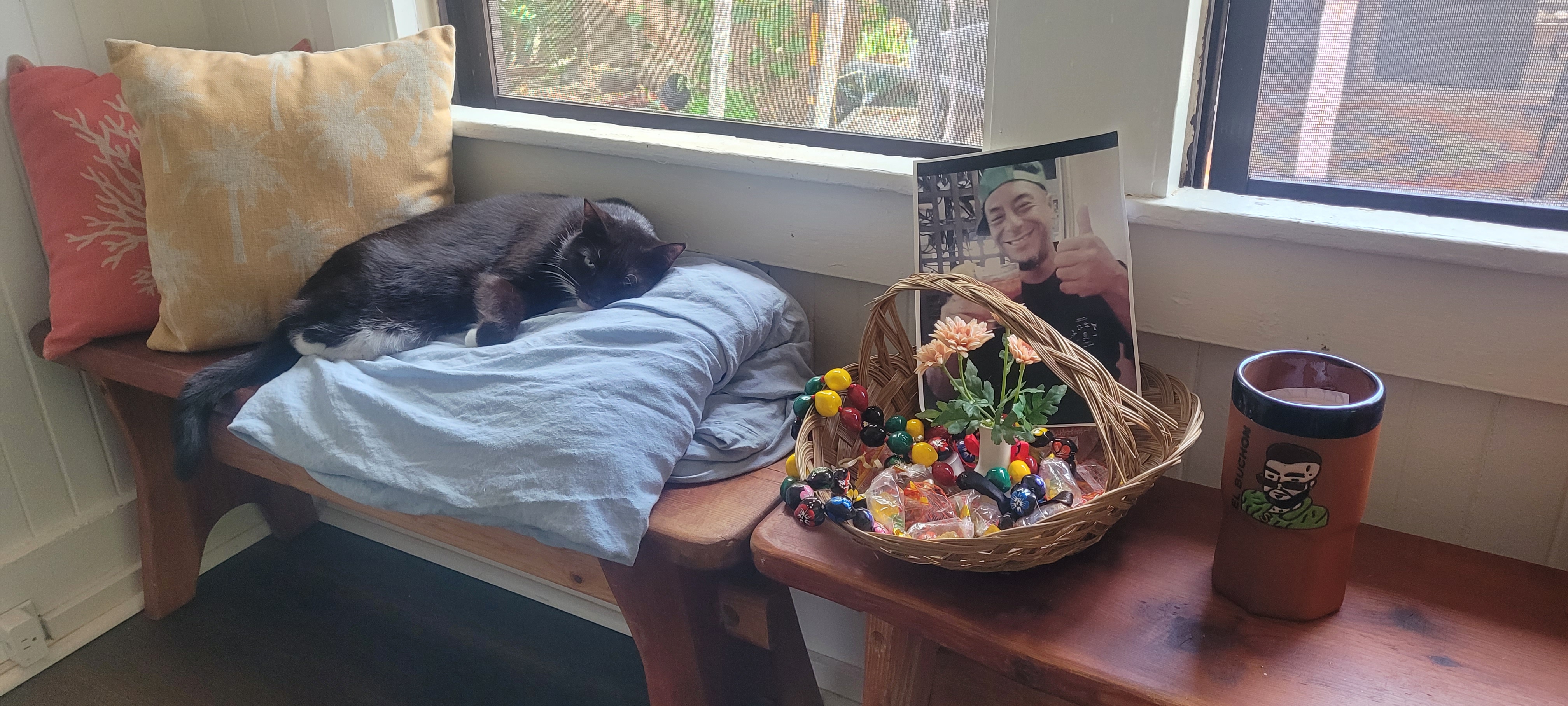 A brown cat sitting next to a basket, containing lei, and a photo of Kai.